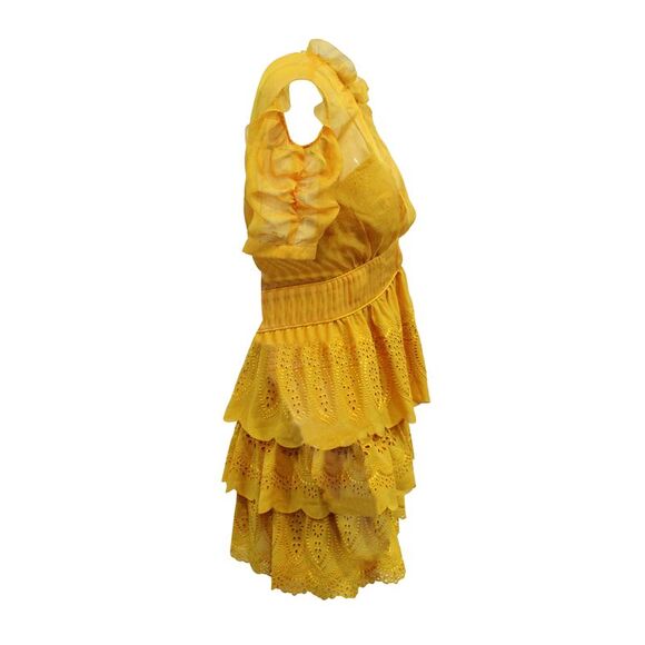Self-Portrait Embroidered Tiered Mini Dress in Yellow Mustard Polyester